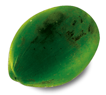 Dr. Martins coco juice pure kokoswater jong 1000 ml