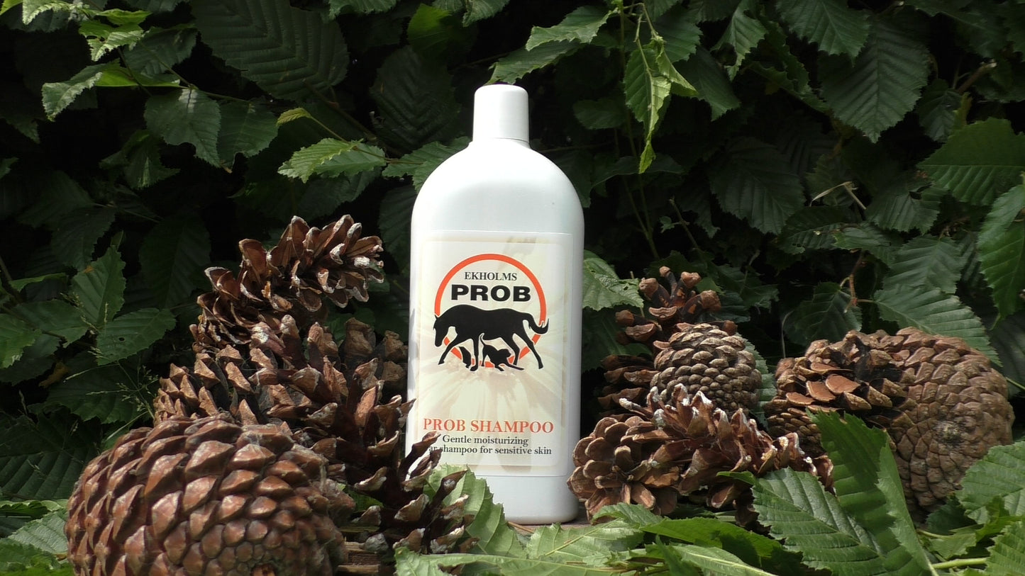 Prob Shampoo hond